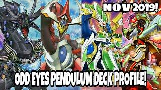 *BEST!* Odd Eyes Pendulum Deck Profile! NOV 2019!