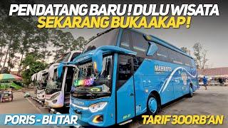 GEBRAKAN PENDATANG BARU BUS ASLI KEDIRI‼️LINE PERDANA PO MAHKOTA RUTE PORIS - BLITAR‼️