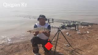 ШАРДАРА | КРЕПОСТЬ | BIG-FISH 17 группа ЖІГІТТЕРІНЕН БІР ВИДЕО 16/10/2022 