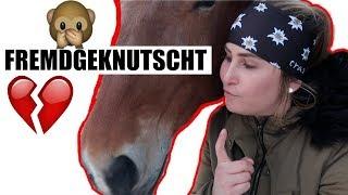 UNTERLEIBSSCHMERZEN | STALL PFERDE FMA | PUTZPARTY PROWIN BEI LISA |  VLOG 4 | LIFELOVENIKI