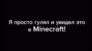 Я просто гулял и увидел это в Minecraft! | Кисель Minecraft