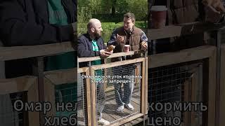 Богема и суета элитная | Омар в Большом городе #омар #омарвбольшомгороде #омаралибутаев