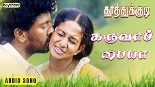 karuvappaiya Audio song | Thoothukudi | Bayshore Records Audio