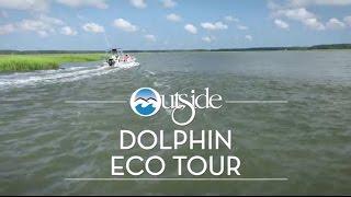 Dolphin Eco Tour