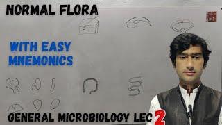 Normal Flora of human body. Human microbiota with easy mnemonics by zawar yousafzai medexplora