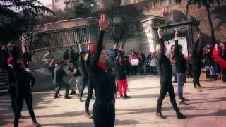 მილიარდთა ამბოხი|One Billion Rising