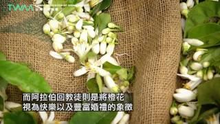 台灣芳療協會 橙花的故事