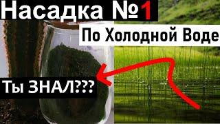 Супер Насадка для рыбалки по Холодной воде.Карась её не упустит.Рыболовные секреты.Насадка на карпа.