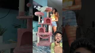 Pembe kedi tırmanma oyuncağı paket açılımı