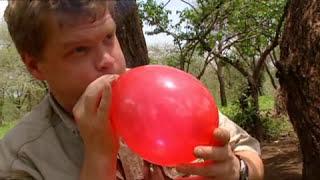 Ray Mears' Bushcraft S01E04 - Africa Camp