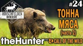 theHunter call of the wild #24  - Тонна Мяса (часть 2) - Винтовка - Кабан, Олень