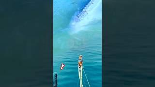 WOW !!! A VERY EXTRAORDINARY TARGET #fishing  #animals #short #shorts