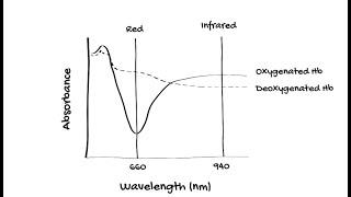 How does Pulse Oximetry work?