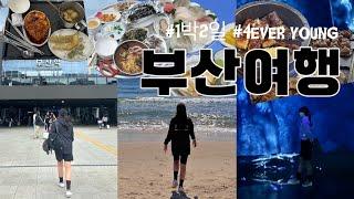 1박2일 부산여행 | 영도해녀촌 아르떼뮤지엄부산 해운대신라스테이호텔 해운대횟집 해운대시장 부산여행코스