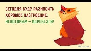 СМЕШНЫЕ ЦИТАТЫ С ЮМОРОМ №2