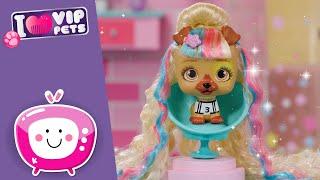 Competition Hairstyle ‍️ VIP PETS  Fabio & Fabia's Hair Salon  Videos for KIDS in English