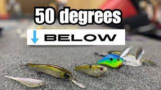 5 BEST Lures For Cold Front Bass Fishing