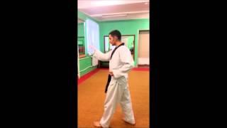 Taekwondo WTF. 2 Пхумсэ Тэгук И Джан.