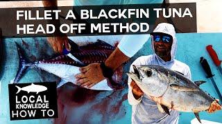 Blackfin Tuna Filleting: Head Removal Technique