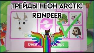 ТРЕЙДЫ НА НЕОН ARCTIC REINDEER В АДОПТ МИ Что дают за нфр арктика в 2023 году? ЧТО ДАЮТ ЗА АРКТИКА