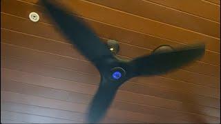 Best Smart Ceiling Fans with SenseMe Technology?
