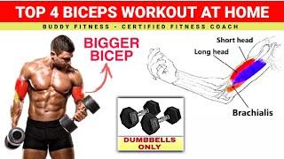 Biceps Workout At Home With Dumbbells | Dumbbell Bicep Workout