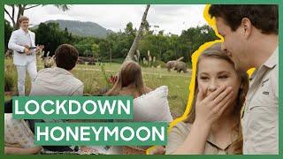 Bindi And Chandler’s Alternative Honeymoon | Crikey! It’s the Irwins