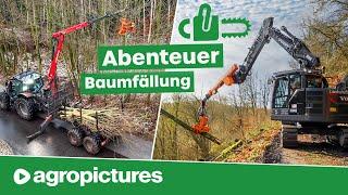 Baumfällung extrem mit Westtech Woodcracker am Hoflader, Rückewagen, Bagger und Teleskoplader