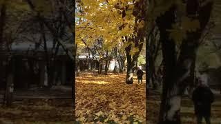 Оранжевая осень,оранжевая я.