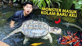 MASUKIN MONSTER JUMBO KE KOLAM BARU AKU! RENANG BARENG AKU!