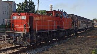 DE6400-6468 z wagonami krytymi na stacji Świdnica Miasto | Pociągi Świdnica #394