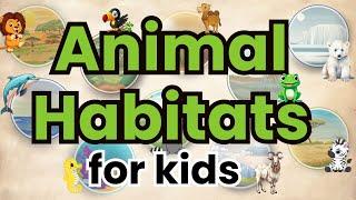 Habitats for Kids | Learn all about Rainforest, Ocean, Desert, Forest, Mountains & More