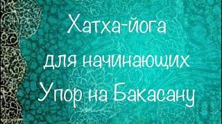 Хатха-йога для начинающих. Занятие 40 минут. Упор на освоение Бакасаны. Ведет Игорь Долбышев