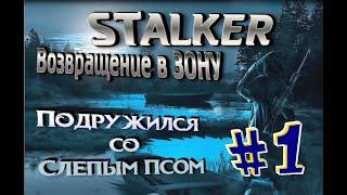 ПОДРУЖИЛСЯ СО СЛЕПЫМ ПСОМ РЖАКА Сталкер STALKER Возвращение в Зону