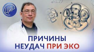 Неудачное ЭКО. 2 биохимические беременности после криопереноса. Обследование после неудачного ЭКО.