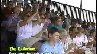 Gulfarium Commercial from the 1990's - Okaloosa Island