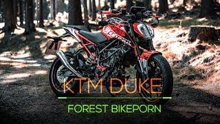 KTM DUKE "Forest Bikeporn" by Daniel Peter