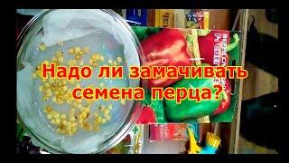 Надо ли замачивать семена перца?