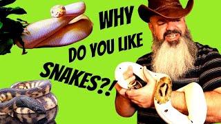 Why Do People Like Snakes?