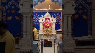 Jai ranchhodrai #ranchodrai #kanudo #jagannathji #radhakrishna #viralvideo