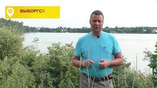 Агарков Константин. Мой справедливый Петербург