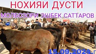 МОЛБОЗОРИ ЭШБЕК САТТАРОВ БЕХТАРИН НАВОР ШУД ЗАКАЗИ ПОДПИСЧИКО 15.09.2024.г