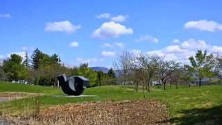Middlebury College's Public Art Collection -  Clement Meadmore