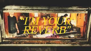 TVMTN - I'm Your Reverb