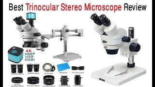 Best Trinocular Stereo Microscope Review 2024