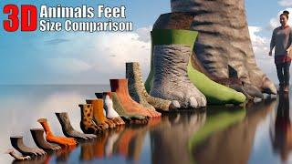 Animal, Dinosaur and Monster 3D Feet Size Comparison