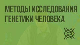 Методы исследования генетики человека. Видеоурок по биологии 10 класс