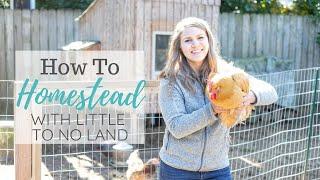 How To Homestead Without Land Or With Little Land - Urban Farming