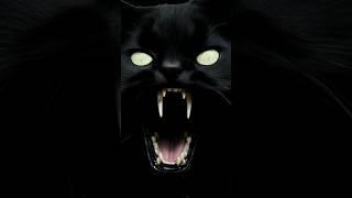  Scary Black Cat Face Jump Scare - Cat Scream Scary Video Jump Scares #shorts