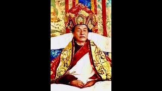 Concise Dudjom Tersar Ngondro recited by HH Jigdral Yeshe Dorje Rinpoche